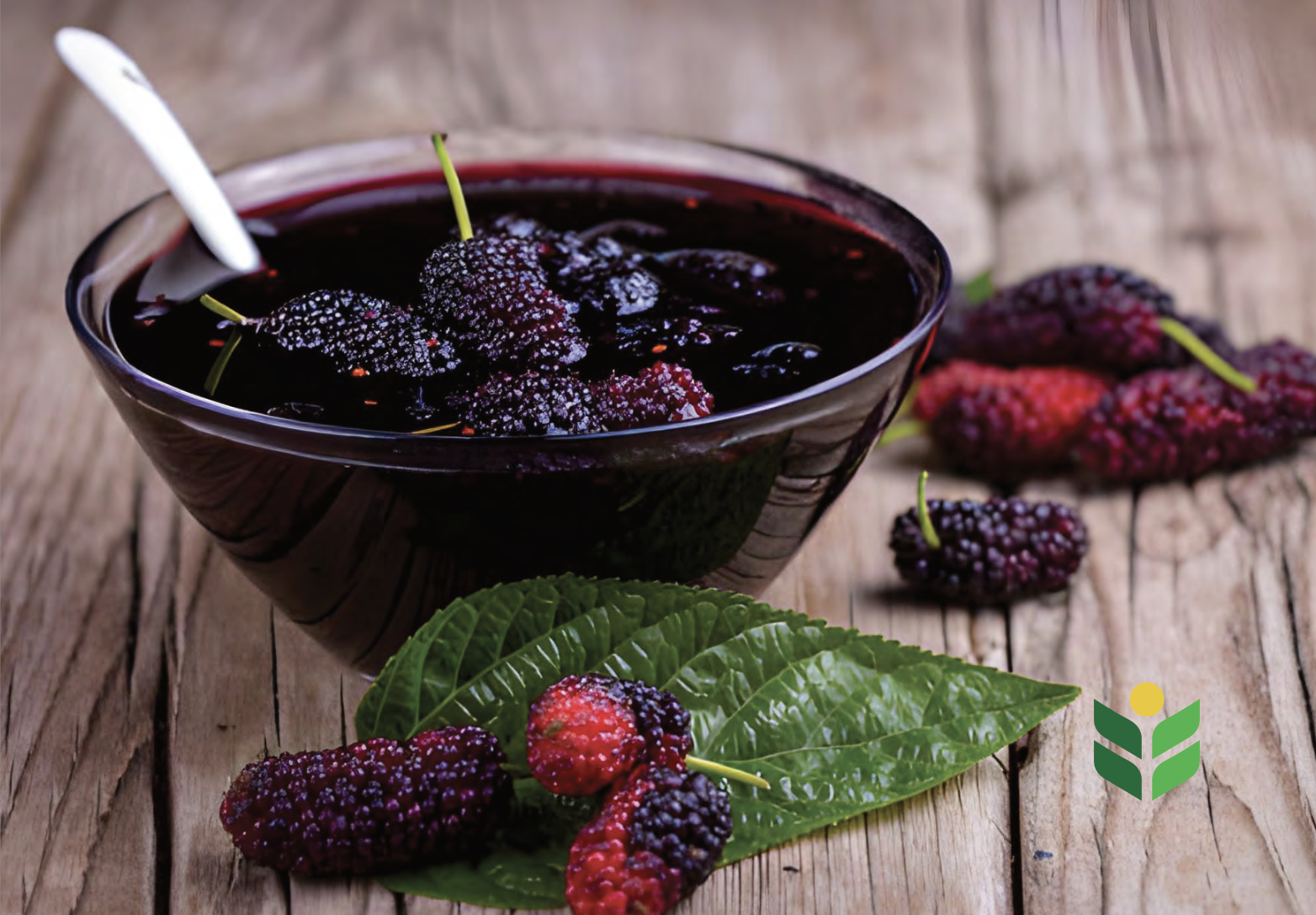 NAMCO Mulberry and Silk